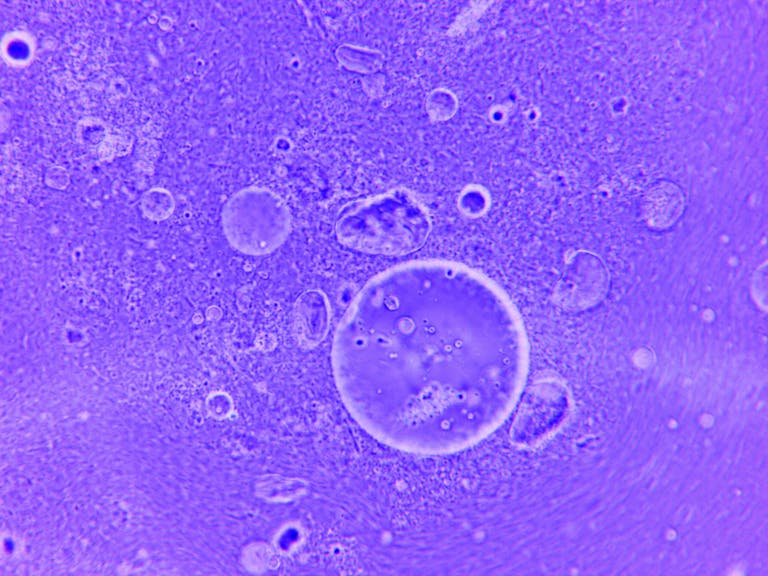 Blue abstract image of water droplets and particles under a microscope.